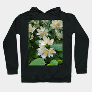 flower, white, beautiful, love, gift Hoodie